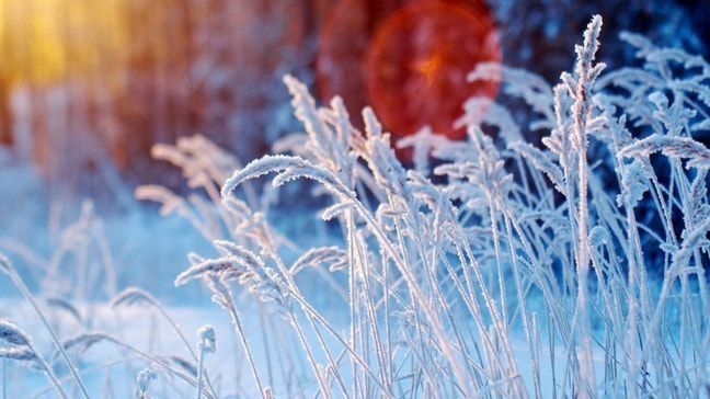 7 Tips To Help You Save This Winter
