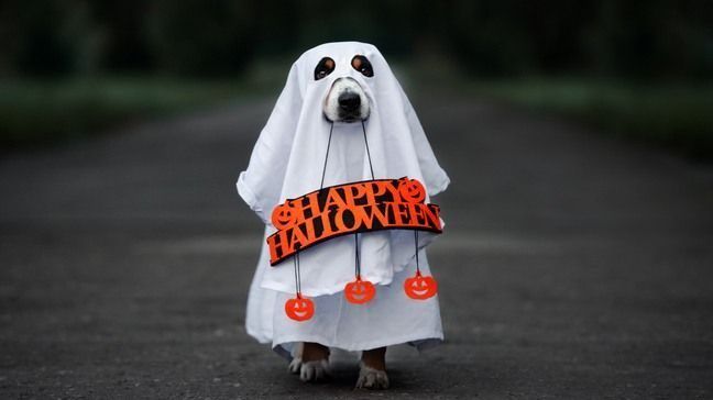 Tricks And Treats Of Personal Finance