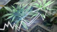 Should You Invest In Marijuana Stocks?