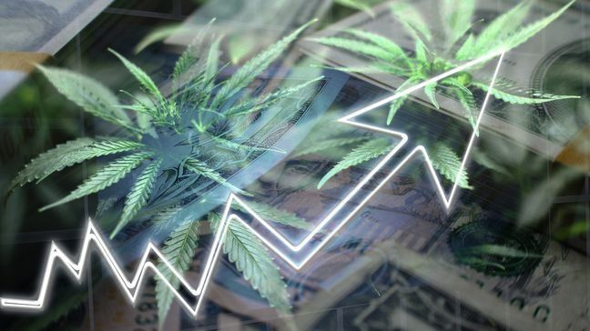 Is It a Good Idea to Invest in Marijuana? [Opinion]