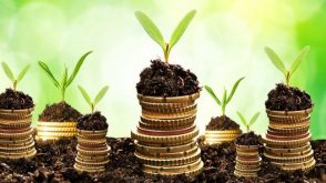 Savings Interest Calculator