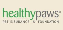 Pumpkin Pet Insurance Review: Keeping Pets Healthy All Year Long - Healthy Paws