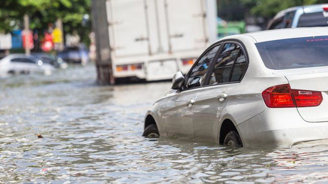 Car Insurance Definitions: What Every Driver Needs To Know - What is comprehensive insurance?
