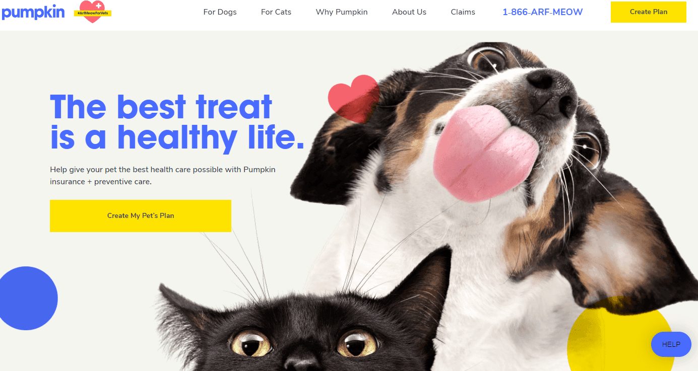 Pumpkin Pet Insurance Review: Keeping Pets Healthy All Year Long - Create My Pet's Plan