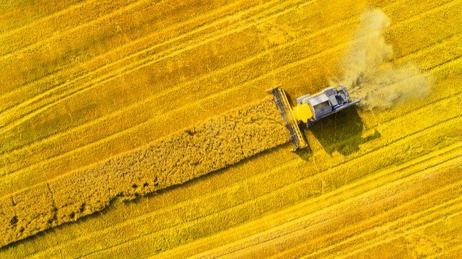How To Invest In Commodities - What are commodities?