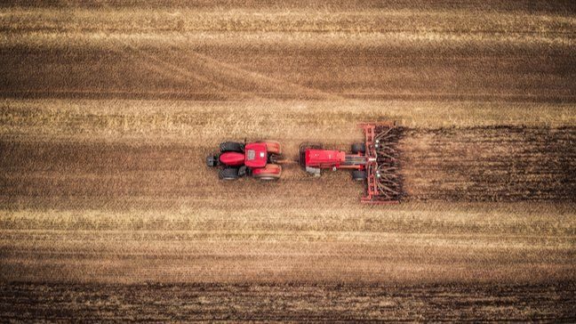 How I Used Local Farms To Slash My Food Bill