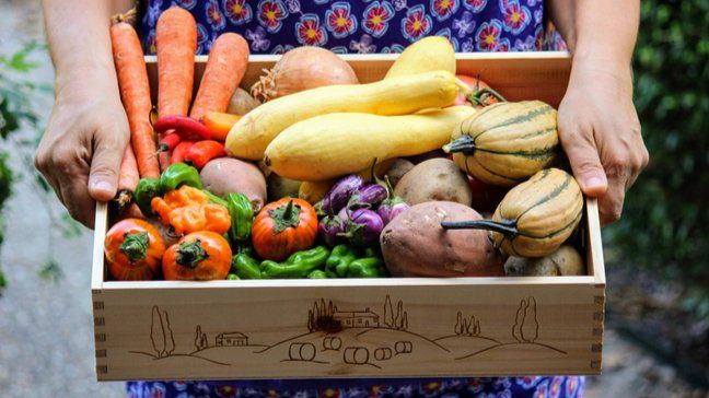 How I Used Local Farms To Slash My Food Bill - CSAs