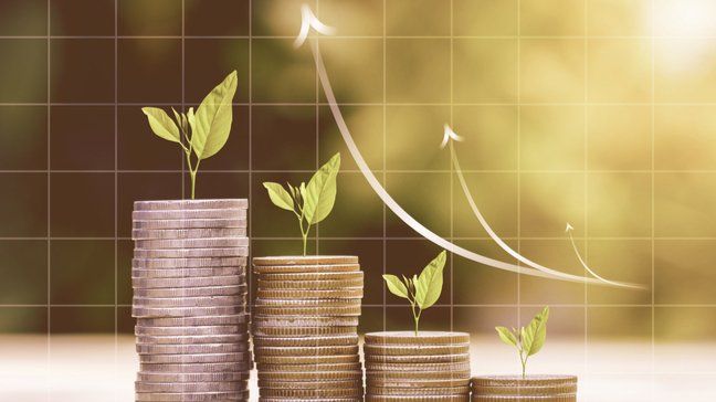 How To Avoid Paying Robo-Advisor Fees: Build Your Own Portfolio Of ETFs Or Mutual Funds - How to build your own mutual fund portfolio