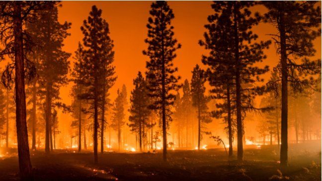 How The Economic Consequences Of The California Wildfires Could Affect Your Finances