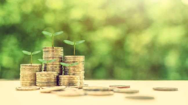 How To Apply For Personal Loans (And  Difference Between Each Type) -  different types of personal loan lenders