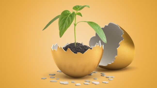 How To Invest In Natural Resources