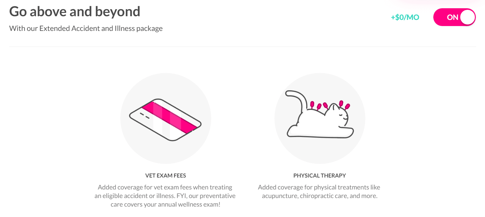 Lemonade Pet Insurance: Comprehensive Insurance To Keep Your Furry Friends Elalthy - Vet exam fees and physical therapy