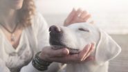 Millennials Are Extra Aware Of The Importance Of Pet Care