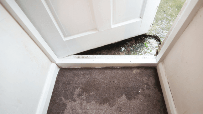 What Is Flood Insurance? (And What Does It Cover?)