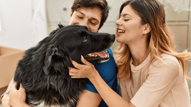 Do Homebuyers Buy Homes With Their Pets In Mind?