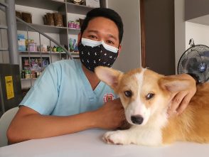 how do pet insurance deductibles work