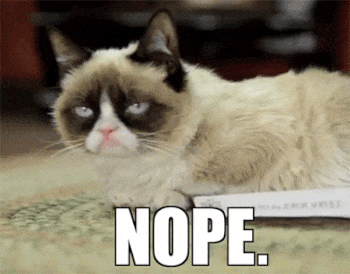 A gif of a grumpy-looking cat turning to the camera, with the word 