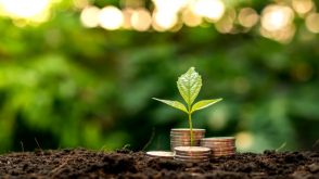 A pile of coins in the dirt with a small plant growing in the middle of them