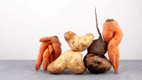 Misshapen carrots, potatoes, and beets