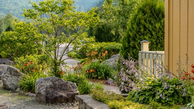 how much does landscaping cost
