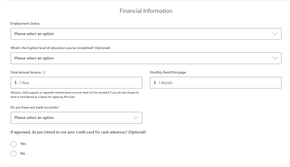 Financial information section of application