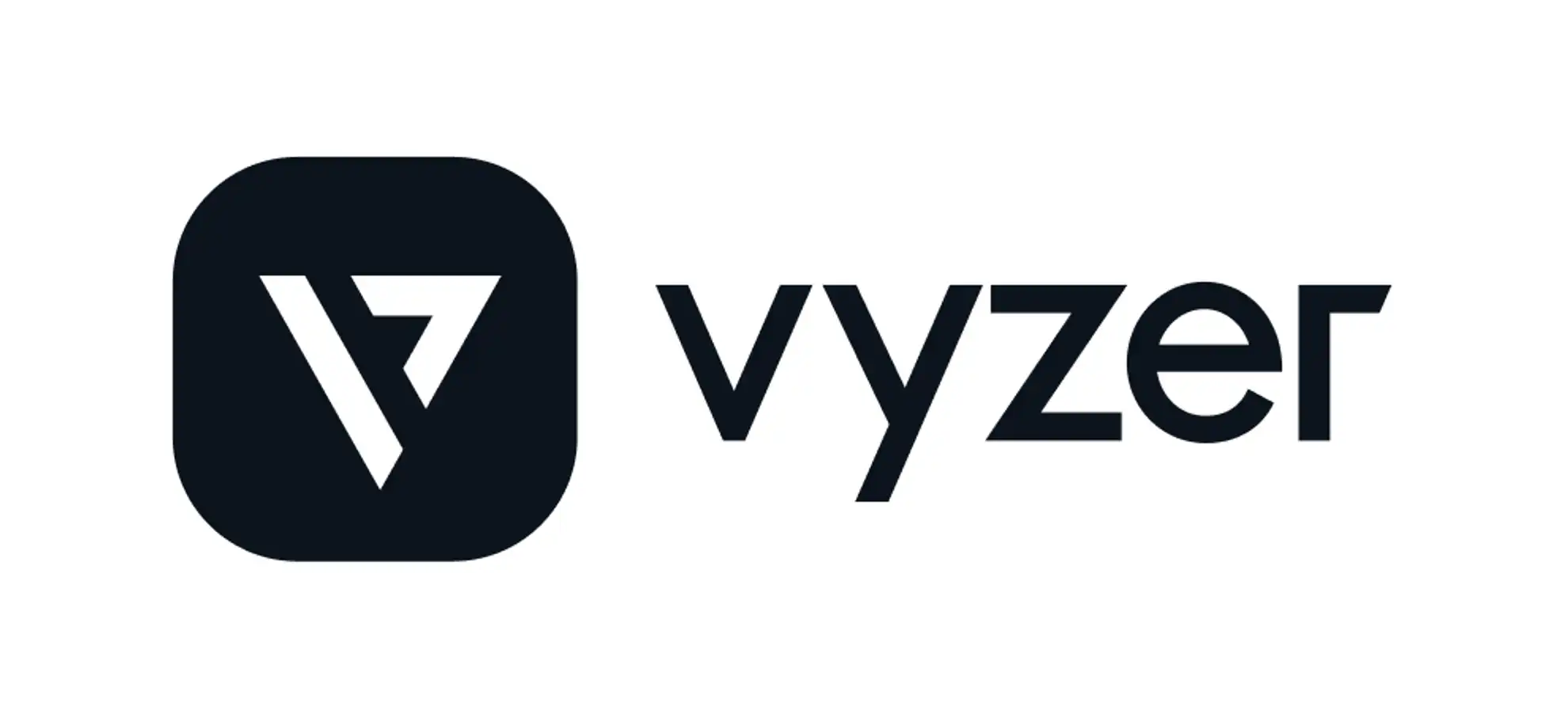 Vyzer