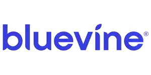 Bluevine Business Checking account